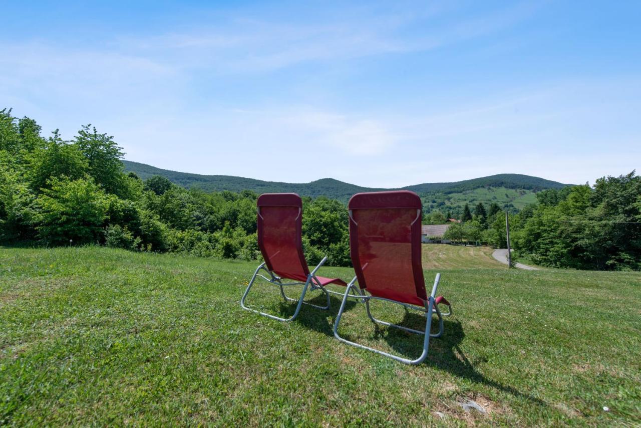 B&B Plitvice Lakes Villa Irene Селище Дрезницко Екстериор снимка