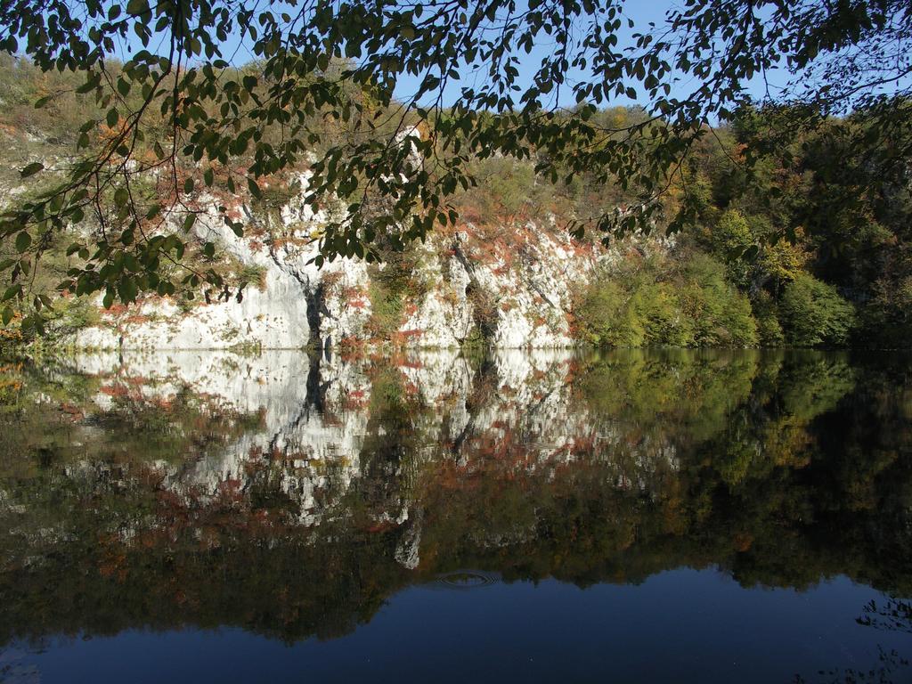 B&B Plitvice Lakes Villa Irene Селище Дрезницко Екстериор снимка