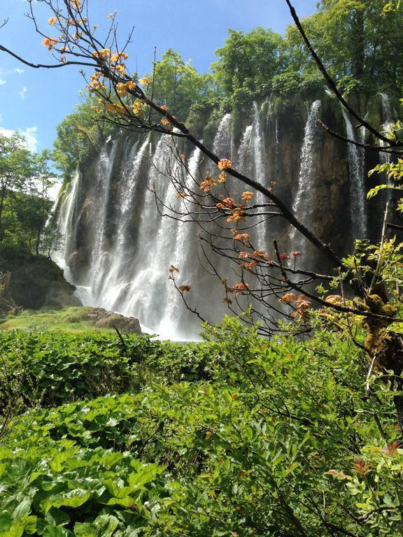B&B Plitvice Lakes Villa Irene Селище Дрезницко Екстериор снимка